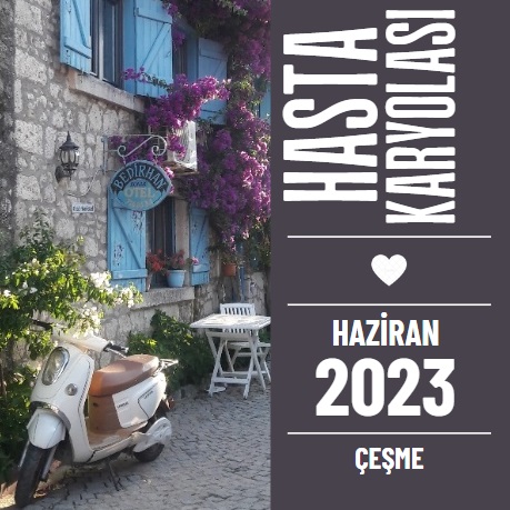 çeşme hasta karyolası