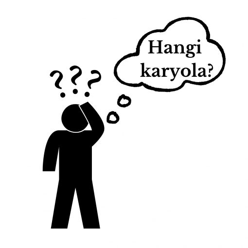 Hangi karyolayı almalıyım?